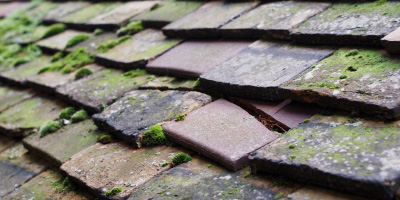 Moor Common roof repair costs